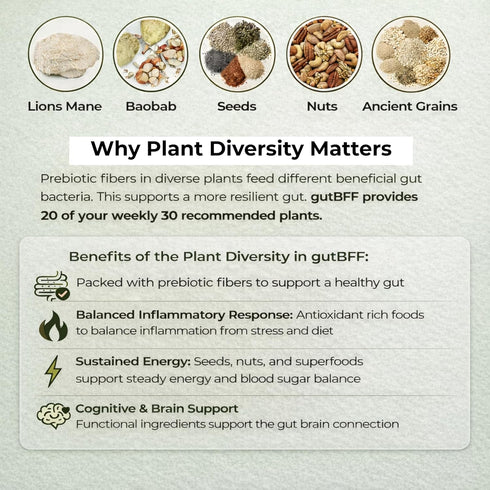 gutBFF 5 9 oz Low Sugar Granola Gluten Free Healthy Granola with Lions Mane Mushroom & Baobab Superfruit for Gut Health