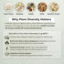 gutBFF 5 9 oz Low Sugar Granola Gluten Free Healthy Granola with Lions Mane Mushroom & Baobab Superfruit for Gut Health