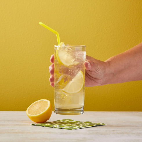 2 (Pack 1) Big Train Shaken Lemonade Beverage Mix, Pound