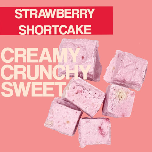 2 Vegan Freeze Dried Ice Cream, Freeze Dried Strawberry Shortcake Ice Cream, Dairy-Free Ounce (Strawberry Shortcake)