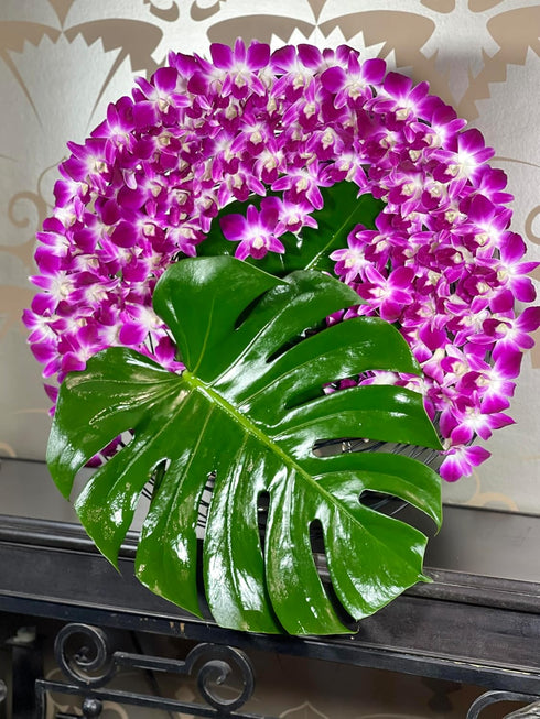 Generic 100 pack 2x50 Count packs Purple Dendrobium Fresh Cut Orchids or for Lei and Food Decorations (Red Sonia)