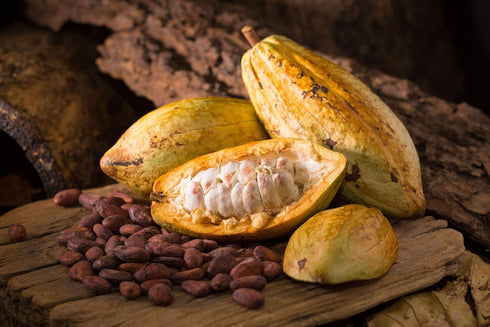 2 Food to Live Organic Cacao Beans, Pounds - Non-GMO, Keto, Vegan, Dry, Bulk, Rich in Dietary Fiber, Copper, Manganese
