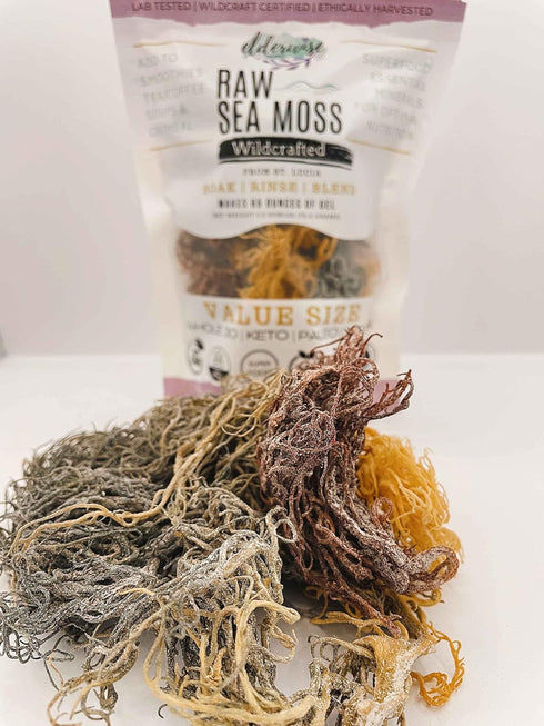 Sea Moss | Wildcrafted | 2.5 oz - Makes 64 oz of Gel, Raw + Non GMO, Sundried, Mineral Rich from Saint Lucia