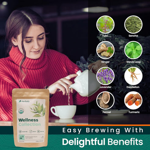 70 28 Count (Pack 1) Herbaly Wellness Collection Organic Herbal Ginger Tea, g, Bag