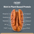 4 lb Raw Pecan Pieces American Grown Medium Chopped Pecans, Batch Tested Peanut & Gluten Free, Non-GMO, No PPO
