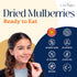 Mulberry, Mulberries, 14.5oz, Eastanbul Dried Sun Dried White, Natural, Unsweetened, Non-GMO, Gluten Free, Vegan