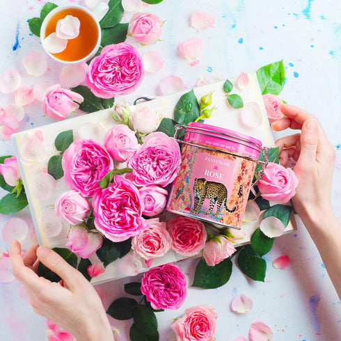 Rose Tea Bags, 20 XL Pyramid Sachets, Organic Moroccan Rose Petals and Ceylon OP Black Tea Blend
