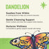 16 Celestial Seasonings Detox Blend Dandelion Wellness Tea, Caffeine Free, Tea Bags Box