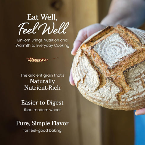 32 Oz, 2 Pack Jovial Organic Einkorn Whole Wheat Flour - Bread Baking Flour for Sourdough, High Protein, Non-GMO, Use