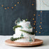 Ercadio 30 PCS Dazzling Sticker Butterfly Cake Toppers, Waterproof Arts Cupcake Picks for Baby Shower Birthday Wedding