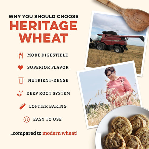 (80 (Pack 2)) Sunrise Flour Mill Heritage Organic White Flour & Whole Wheat Pastry Flour Ounce of - Non-GMO, Kosher