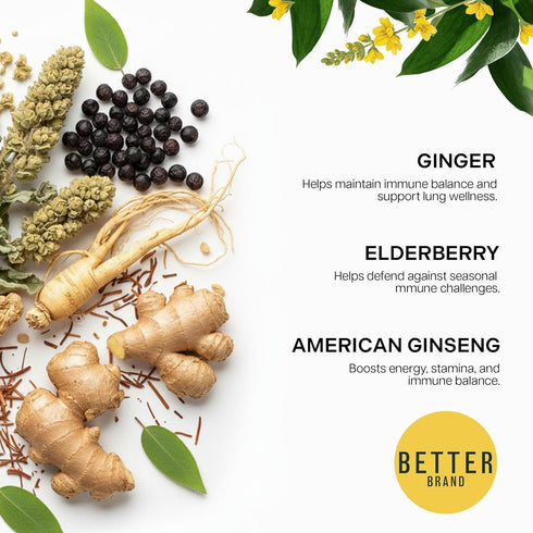 15 (Pack 1) Betterbrand Mullein Tea Bags for Lung Detox - Respiratory Support with Thyme, Elderberry, Ginseng, Ginger