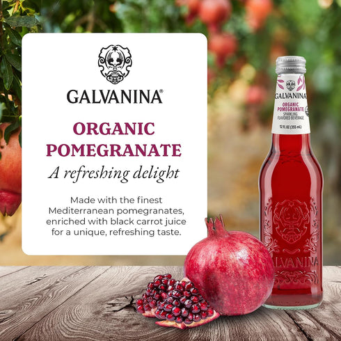 12 oz (Pack 1) Galvanina Pomegranate Premium Organic Italian Sparkling Soda, fl Glass Bottle of | Vibrant, Tart-Sweet