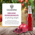 12 oz (Pack 1) Galvanina Pomegranate Premium Organic Italian Sparkling Soda, fl Glass Bottle of | Vibrant, Tart-Sweet