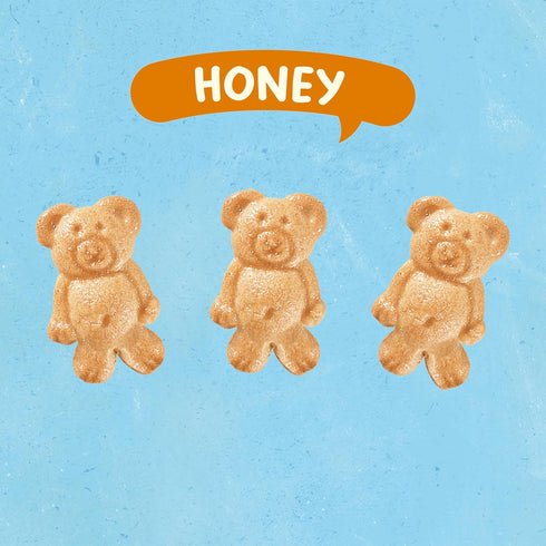 6 10 oz TEDDY GRAHAMS Honey Graham Snacks, Bulk Kids Snacks, - Boxes