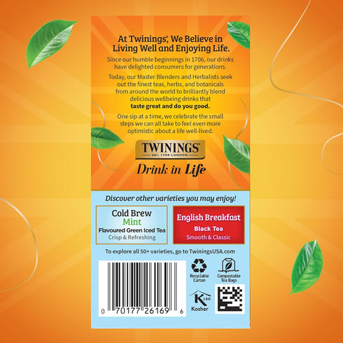 20 Count (Pack 6), 120 Twinings Mixed Berries Cold Brew Iced Tea Bags, of Unsweetened Flavoured Black Tea, Caffeinated