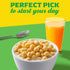 14 oz Mott's Apple Cinnamon Cereal, Made with Apple Puree, Whole Grain