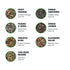 7 7 Tiesta Tea - Green Teas Dry Flight Sampler, Loose Leaf, Medium Caffeine Hot & Iced Tea, Premium Green Tea Blends