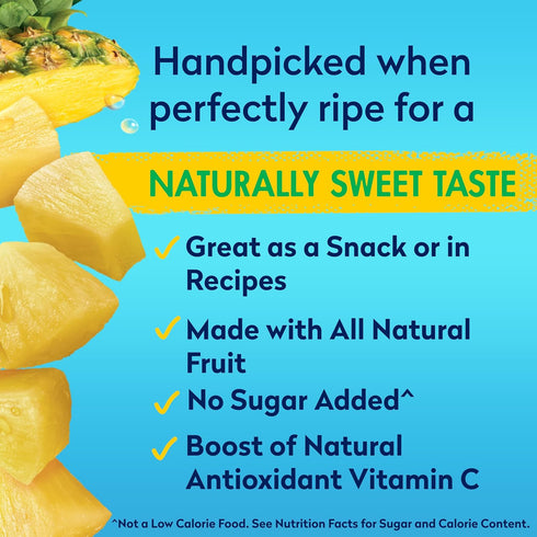 100% 20 oz 12 Pack Dole Pineapple Chunks in Pineapple Juice with No Sugar Added - Dole Canned Fruit - Cans