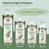 16.9 Oz La Tourangelle, Organic Extra Virgin Olive Oil, Cold-Pressed EVOO from Spain, Fl Spanish Olive Oil