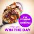Great Grains 16 OZ (Pack 3) Raisins Dates and Pecans Breakfast Cereal, Raisin Cereal with Sweet Dates and Granola