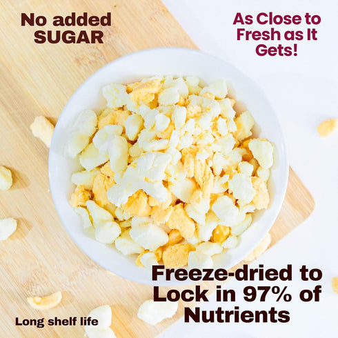 EverlastingEats 5 Oz Freeze Dried Cheese Curds White & Yellow Wisconsin Cheddar Curd Bites, Keto-Friendly, High Protein