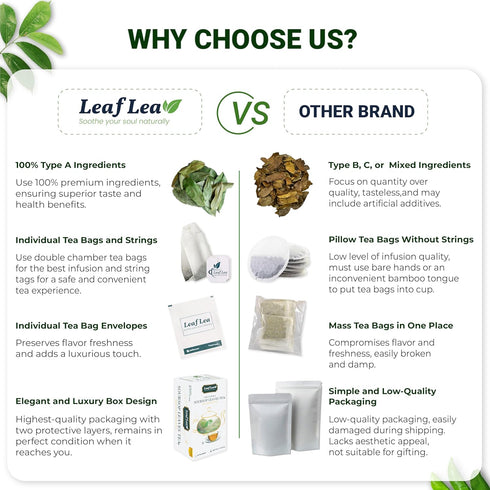 LeafLea Premium Soursop Leaves Tea Bags - 40 Herbal Tea Bags for Natural Digestion Support, No Sugar, No Caffeine