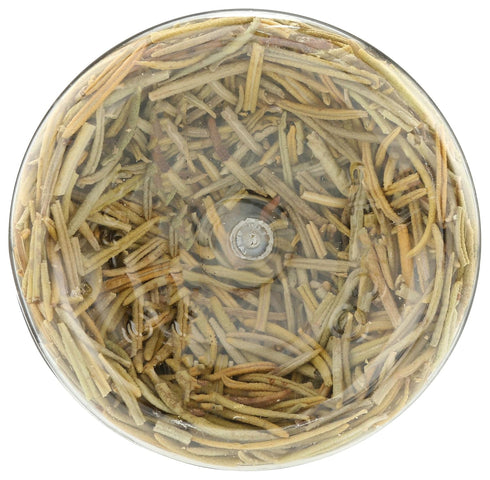 365 0.46 OZ by Whole Foods Market, Whole Rosemary Leaf