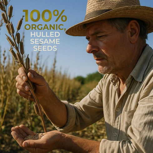 16 oz Kevala Organic Sesame Tahini | USDA Organic, NonGMO Project Verified & Kosher Certified | Smooth Hulled Sesame