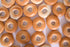 RawJoy Pack 12 Fresh New York Plain Bagel by | Delicious Fresh Plain