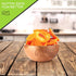 (16oz, 1 LB) NUT CRAVINGS - Dried California Peaches, No Sugar Added, Unsweetened Sweet Healthy Snack, Vegan, Kosher