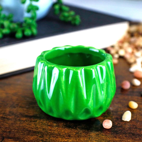 2 4 6 Inches Live Lucky Bamboo Stalk Love Arrangement in Round Green Ceramic Planter - and Lucky Bamboo Indoor Potted