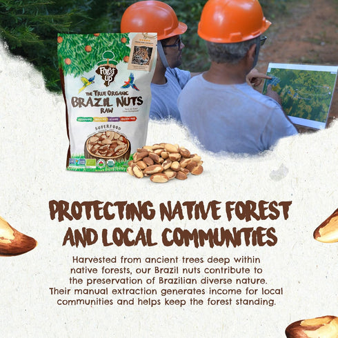 32 oz-2lbs Snack The True Organic Brazil Nuts Medium Size Raw and Unsalted Kosher Healthy-Rich in Vegetable Protein