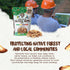 32 oz-2lbs Snack The True Organic Brazil Nuts Medium Size Raw and Unsalted Kosher Healthy-Rich in Vegetable Protein
