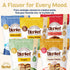 16 oz (1 Pack) Blanket Pancakes and Waffle Mix Vegan Pancake Mix Just Add Water, No Preservatives Clean Breakfast