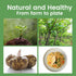 10 Packs Hethstia Konjac Rice, Shirataki Rice with Oat Fiber, Vegan, Low Calorie Food, Gluten Free, Fat Free, Keto