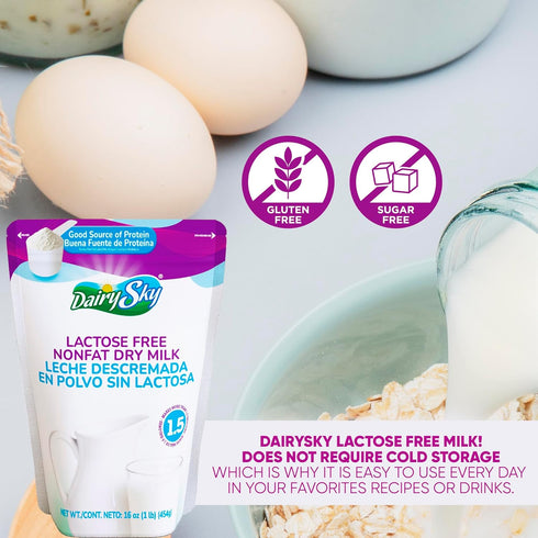 16 Oz 1 Pack DairySky Lactose Free Milk Powder - Non GMO Fat Free Powdered Milk for Baking & Coffee, Kosher