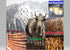 Fresh Himalayas Yak Cheese Hard Rock Small Nuts for Men's - Forget Biting Nail-Keep your mouth Busy, Protein Rich