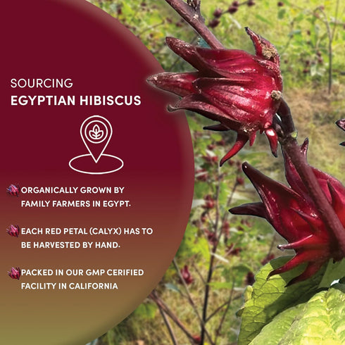 8 oz, 100% Worldwide Botanicals Organic Hibiscus Tea Loose Leaf, Cut and Sifted Egyptian Hibiscus sabdariffa AKA