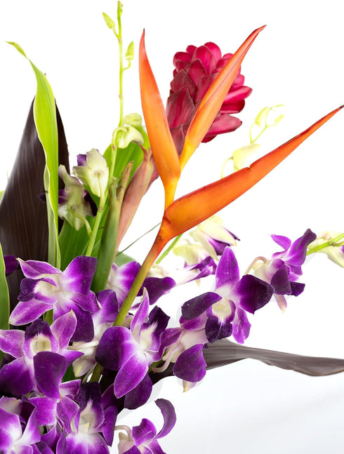 Generic Fresh Orchids and Tropical Flower Bouquet, Purple Orchids, Red Ginger, Heliconia, Mixed Foliage, Hawaiian
