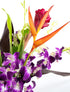 Generic Fresh Orchids and Tropical Flower Bouquet, Purple Orchids, Red Ginger, Heliconia, Mixed Foliage, Hawaiian