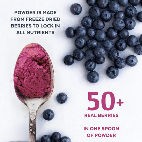 Wild Blueberry Powder Organic, USDA Certified, for Smoothies, Baking, Rich in Antioxidants