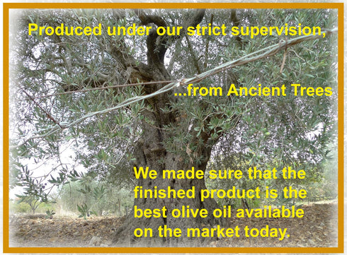 1 Ancient Tree Olive Oil Extra Virgin Cold Pressed, Unfiltered Imported Lebanon Liter