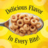 8g 15 oz Cheerios Protein Cereal, Cinnamon, Protein, Family Size