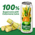 100% 16.9 oz (500 mL) Pack 6 VINUT Sugarcane with Calamansi Juice, No Added Sugar, Not From Concentrate, fl Can