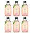 Tomomasu Japanese Peach Cider Soft Drink (6 Pack, Total of 60fl.oz)