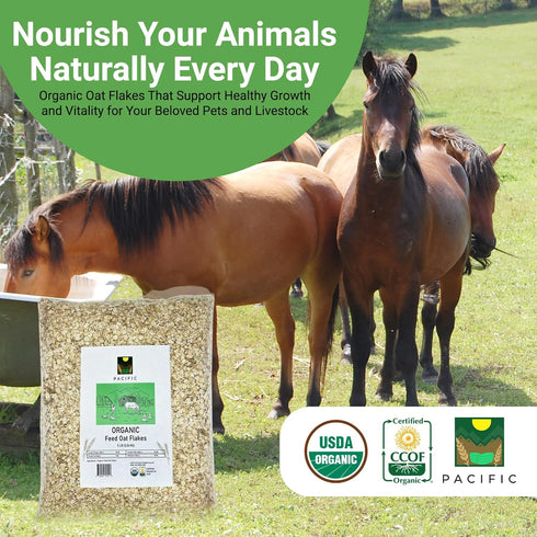 2Lbs Pacific Organic Petfood Organic Feed Oat Flakes - Oat Flakes for Optimal Pet Nutrition - Rich in Fiber & Minerals
