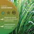 7oz 100% Worldwide Botanicals Organic Lemon Grass Leaves - Loose Leaf - Cut and Sifted pure Cymbopogon citratus