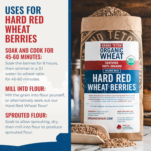 (5 Yecora Rojo Hard Red Wheat Berries by Grand Teton Organic Wheat | Organic Hard Red Spring Wheat Berries for Baking