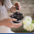 (5 lbs) Traina Home Grown California Dried Whole Black Mission Figs - Healthy, No Added Sugar, Non GMO, Gluten Free